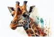 © ArtStage - Watercolor drawing of a giraffe with an isolated background.
