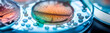 © yanadjan - petri dishes with bacteria in the laboratory. Generative AI,