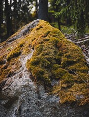 Sticker - Vertical closeup of a big stone covered in moss in a forest