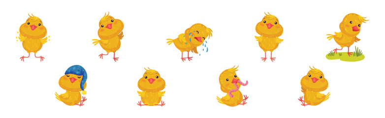 Wall Mural - Cute Yellow Chicken Engaged in Different Activity Vector Set