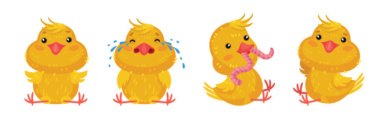 Wall Mural - Cute Yellow Chicken Engaged in Different Activity Vector Set