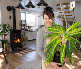 A happy woman in a green house with a potted plant in her hands smiles, takes care of a flower. The interior of a cozy eco-friendly house, a fireplace stove, a hobby for growing and breeding homeplant