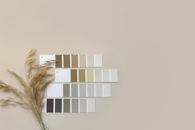 Concept: Nature Inspires Colors. Samples Of Paints  With Dried Grass On A Beige Background.  Neutral Beige And Gray Color Palette For Decorating And Design. Natural Pastel Colors For Home Renovation