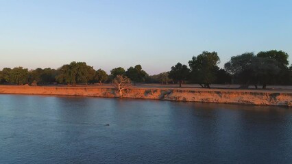 Wall Mural - aerial footage, flight along zambezi banks with southern carmine bee-eater colony. red and blue wing