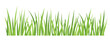 blades of green grass  - vector illustration