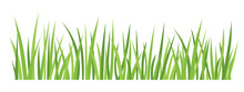 Blades Of Green Grass  - Vector Illustration