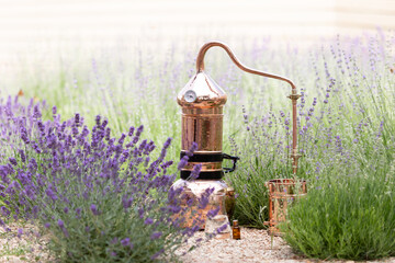 Distillation of lavender essential oil and hydrolate. Copper alambic for the flowering field.