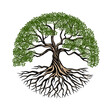 © rina - tree root illustration vector design with circle shape