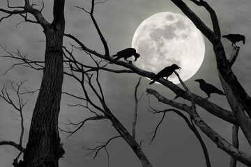 Wall Mural - Silhouette of a leafless tree with a crow perched on a branch at night with a full moon.