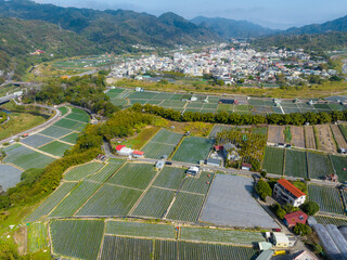 Sticker - Top view of the strawberry field and village  in Dahu in Miaoli of Taiwan