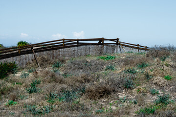 Canvas Print - Entrada a la playa