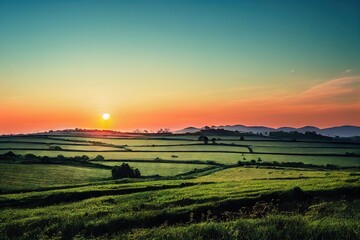 Wall Mural - Summer landscape on a field with tall green grass.., created with generative ai