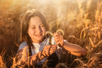 Child play with wheat ears on sunset. Heart from ears of wheat in female kid hands on ripe wheat field background.