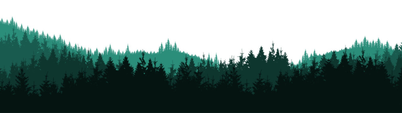 Fototapete - Forest hill woods blackforest vector illustration banner nature outdoor adventure landscape panorama - Green silhouette of spruce and fir trees, isolated on white background