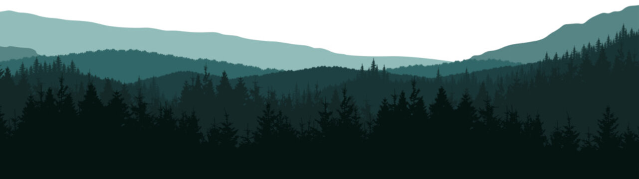 Fototapete - Forest hill mountains woods blackforest vector illustration banner nature outdoor adventure landscape panorama - Green silhouette of spruce and fir trees, isolated on white background