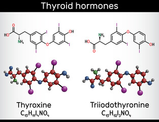 Poster - Thyroid hormones: Triiodothyronine (T3, levothyroxine) and Thyroxine (T4) molecule. Used to treat hypothyroidism. Structural chemical formula, molecule model.