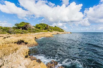 Canvas Print - Paysage de Guadeloupe