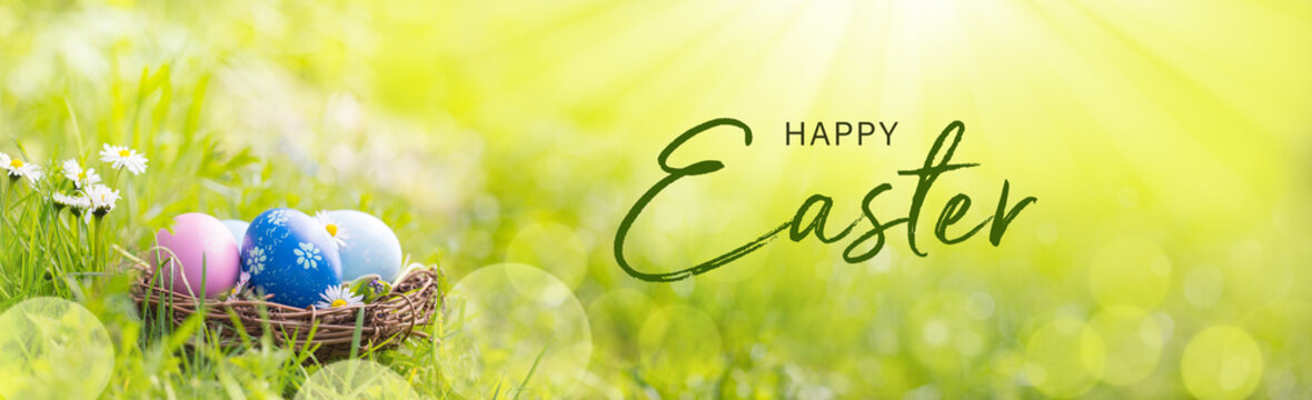 Fototapete - Happy Easter Banner  -  Nest with Easter eggs in grass on a sunny spring day - Easter decoration, banner, panorama, background