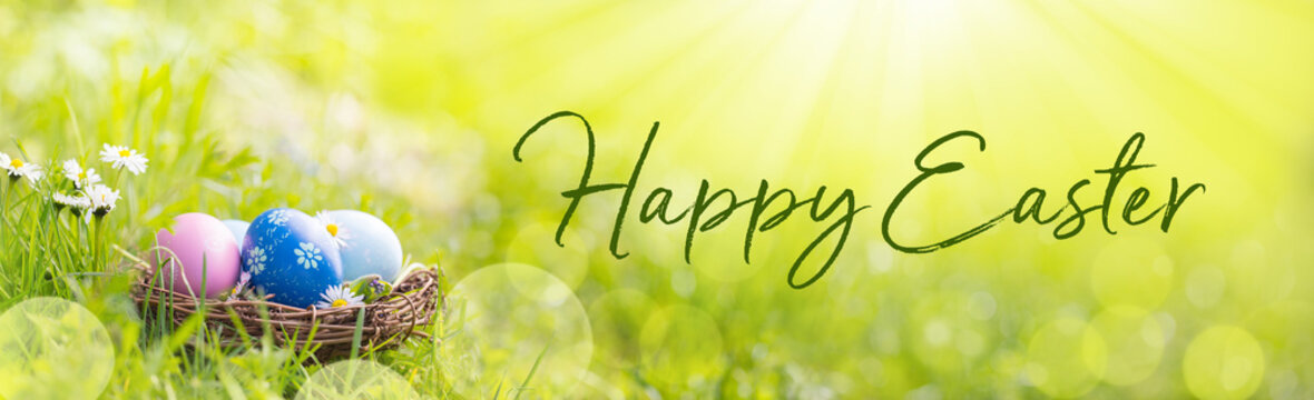 Fototapete - Happy Easter Banner -  Nest with Easter eggs in grass on a sunny spring day - Easter decoration, banner, panorama, background
