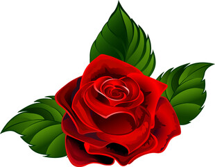 Wall Mural - Red Rose