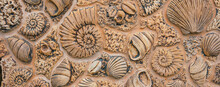 Maritime Background With Ornaments Of Shells And Snails On A Beige Wall.