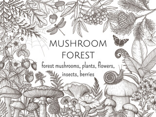 Wall Mural - Vector forest frame with mushrooms, plants, insects, berries. Fly agaric, chanterelles, white mushroom, honey agaric, boletus, snail, strawberry, fern, butterflies, dragonfly, spruce