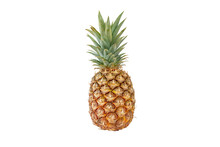 Pineapple Tropical Whole Fruit Isolated Transparent Png. Ripe Ananas Comosus.