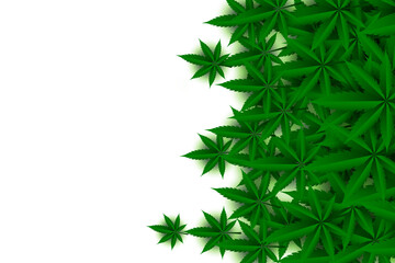  green cannabis leaves on white background design