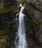 Fototapeta Łazienka - Vertical shot of a flowing waterfall