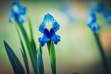 Sticker - Blue iris flower in summer in garden on blurred background., created with generative ai