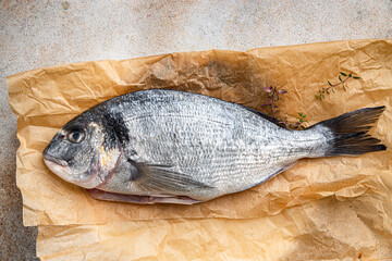 raw fish sea bream fresh seafood meal food snack on the table copy space food background rustic top view 