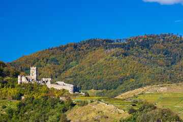 Canvas Print - Hinterhaus castle ruins (Ruine Hinterhaus), Spitz, Wachau, UNESCO site, Lower Austria, Austria