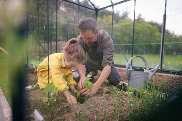 Wall Mural - Father learning his little daughter to care about organic plants in eco greenhouse, sustainable lifestyle.