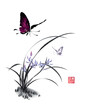 Butterflies flutter over Orchid flowers. Vector illustration in traditional oriental style. Text - 