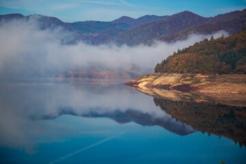 Sticker - Misty morning on a lakeshore