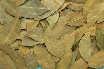 aromatic dry bay leaves background. macro