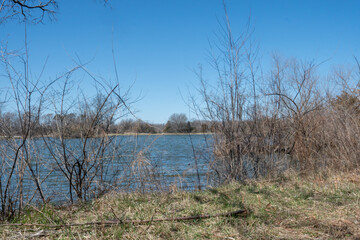 tall and dry thorny vegetation grows in the winter seasons at the lake water banks