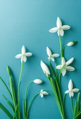 Wall Mural - Small white flowers with thin stems as wallpaper flowers., created with generative ai