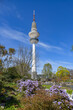 Park Planten un Blomen mit Fernsehturm in Hamburg