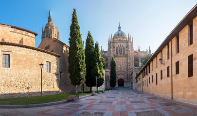 Wall Mural - Photo detail of part of the Salamanca catedral in Spain