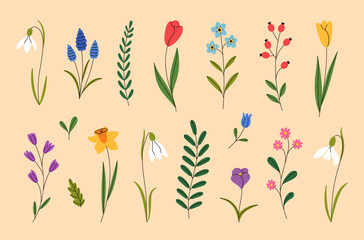 Wall Mural - Abstract wild and garden flowers, leaves, branches. Modern botanical set with floral plants, spring blooms. Floral design elements, wildflowers, berries, foliage. Vector illustration.