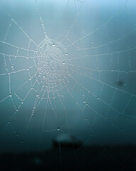 Beautiful macro of spiderweb with lake in the background