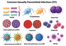 Common Sexually Transmitted Infections (STI)
