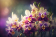 Orchid Flowers Fresh spring bouquet blurred bokeh background