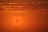 Fototapeta Kosmos - Total solar eclipse on the red orange sky in the mornning