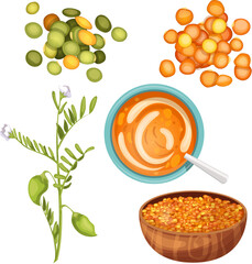 Wall Mural - lentils food healthy set cartoon vector illustration
