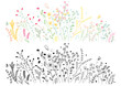 © kedsirin - Set of hand drawn meadow flowers and plants. Vector illustration.