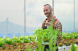 © Prathankarnpap - Smiling caucasian man farmer holding a wooden crate full of vegetables standing at plantation in industrial greenhouse