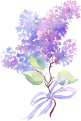 Wall Mural - Lilac flower bouquet. Watercolor illustration. Hand-painting	
