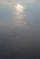 Wall Mural - sunlight reflecting off cracked sea ice